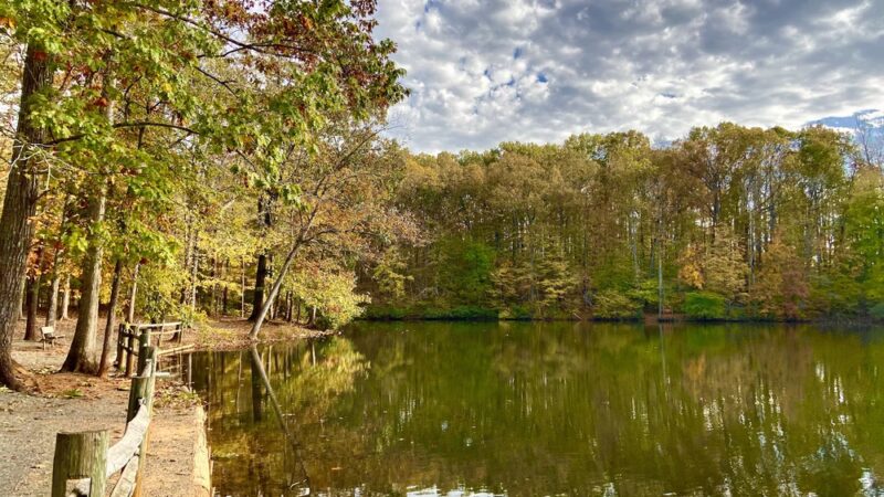 Finch Park - Lexington, NC