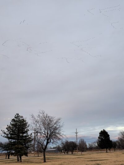 Mahuron Park - Liberal, KS