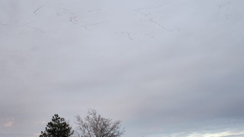 Mahuron Park - Liberal, KS