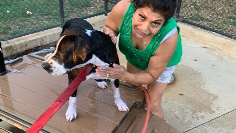 Private Dog Park - Liberty Hill, TX