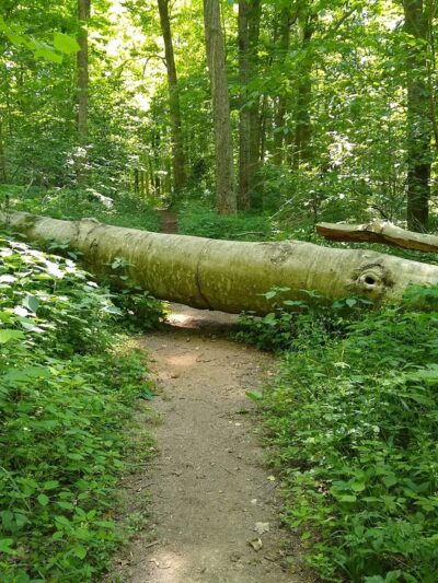 Whitewater Memorial State Park - Liberty, IN