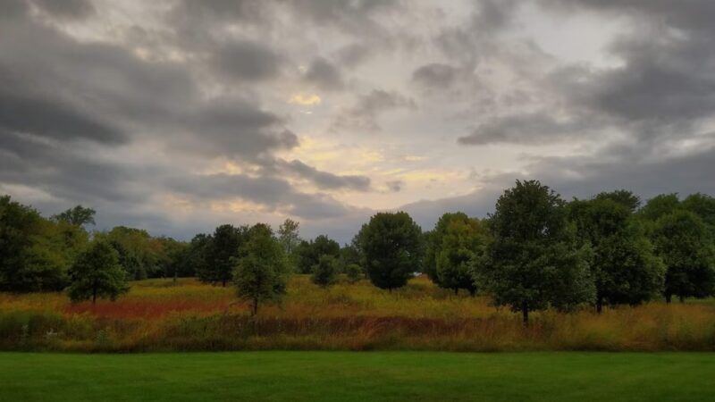 Canterbury Park - Libertyville, IL