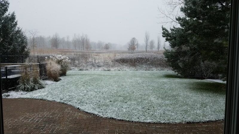 Canterbury Park - Libertyville, IL