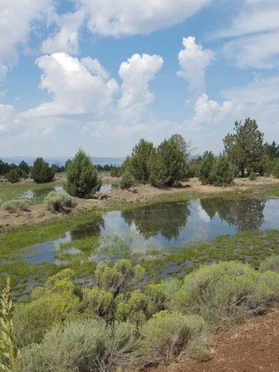 Modoc Line Trail - Likely, CA