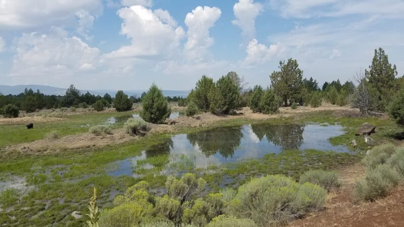 Modoc Line Trail - Likely, CA