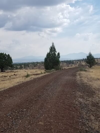 Modoc Line Trail - Likely, CA