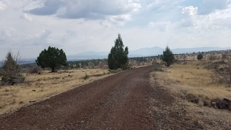 Modoc Line Trail - Likely, CA