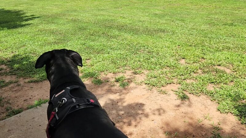 J. B. Williams Park - Lilburn, GA