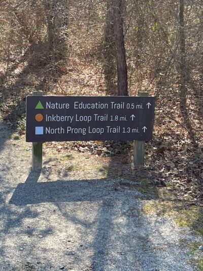 Anderson Creek County Park - Lillington, NC