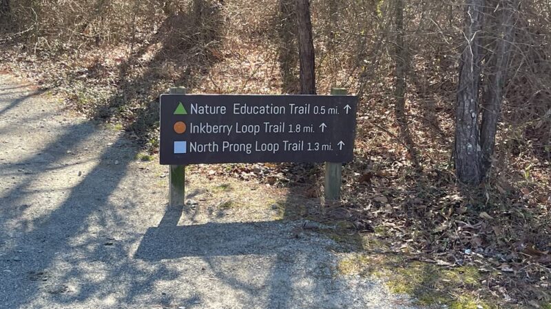 Anderson Creek County Park - Lillington, NC