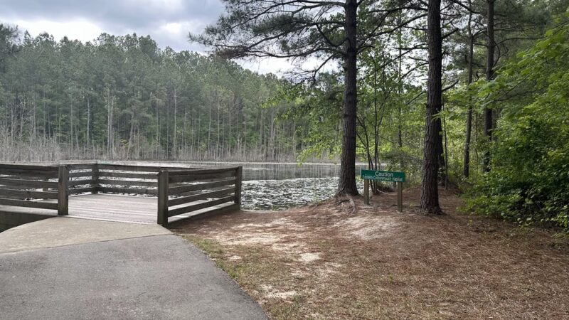 Anderson Creek County Park - Lillington, NC