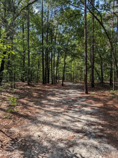 Anderson Creek County Park - Lillington, NC