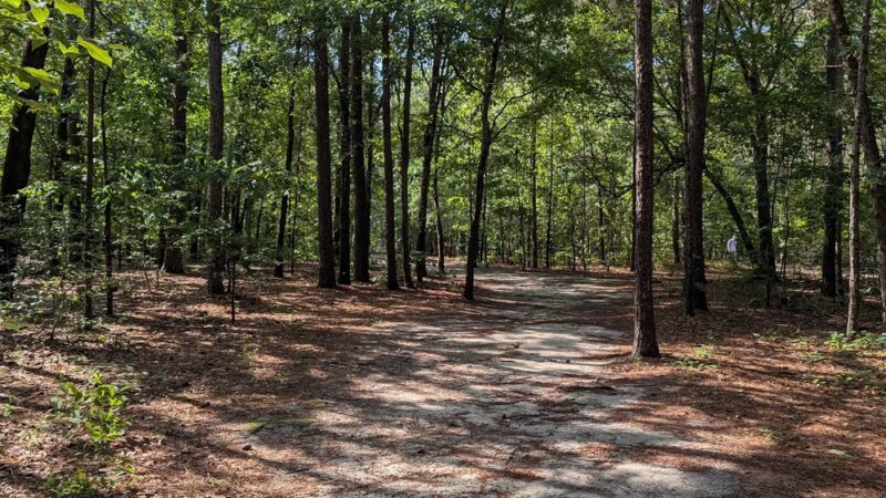 Anderson Creek County Park - Lillington, NC