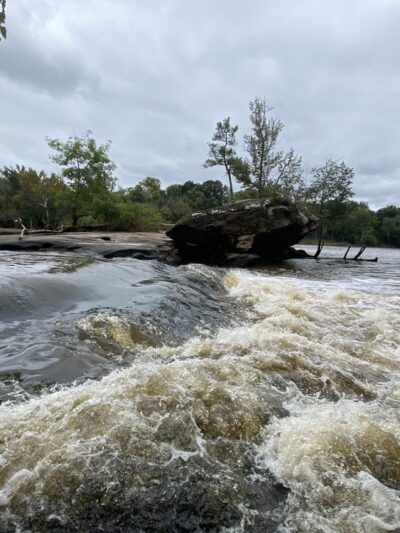 Fish Traps - Lillington, NC