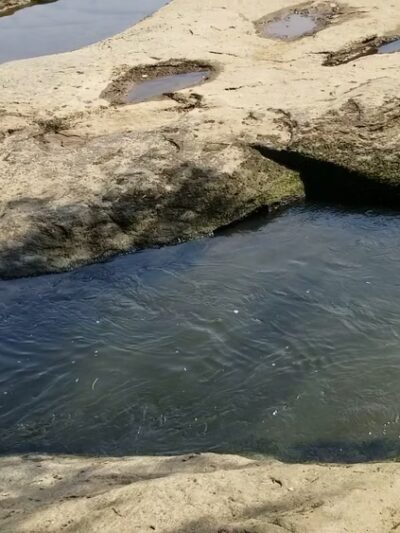 Fish Traps - Lillington, NC