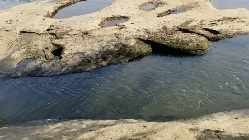 Fish Traps - Lillington, NC