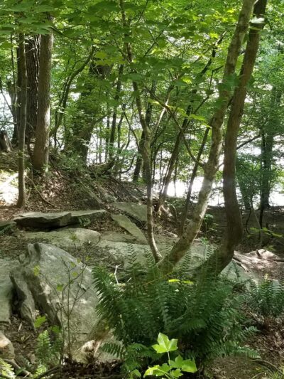 Fish Traps - Lillington, NC