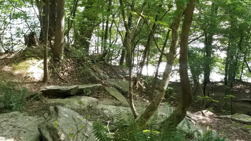 Fish Traps - Lillington, NC