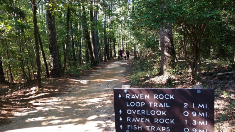 Fish Traps - Lillington, NC