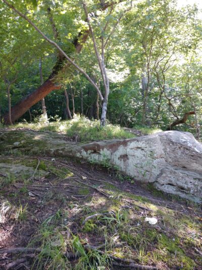 Fish Traps - Lillington, NC