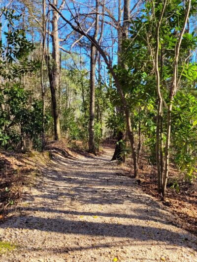 Lillington Botanical Trail - Lillington, NC