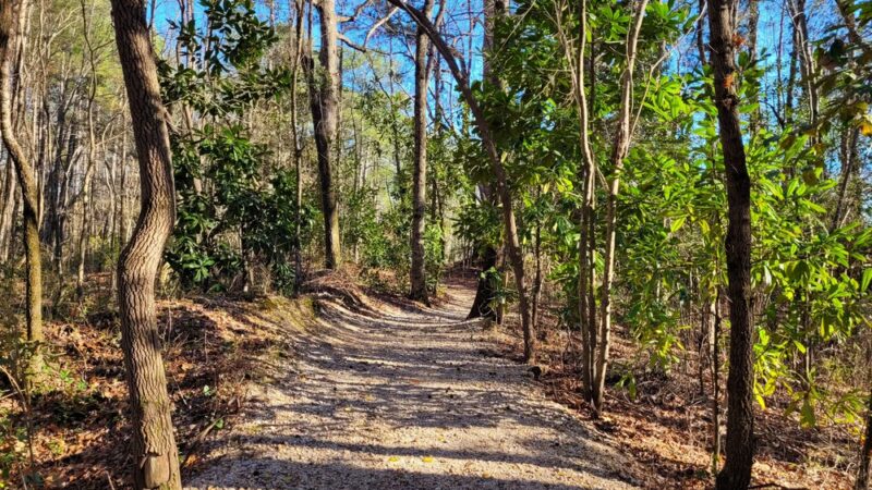 Lillington Botanical Trail - Lillington, NC