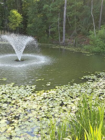 Lillington Botanical Trail - Lillington, NC