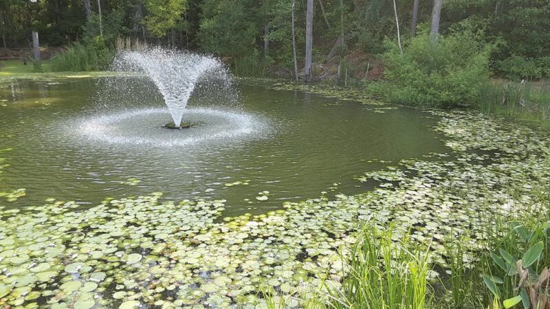 Lillington Botanical Trail - Lillington, NC
