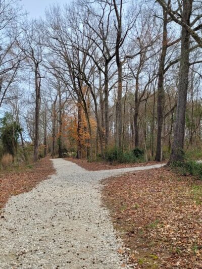 Lillington River Park - Lillington, NC