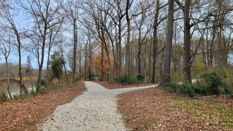 Lillington River Park - Lillington, NC