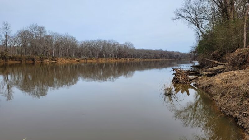 Lillington River Park - Lillington, NC
