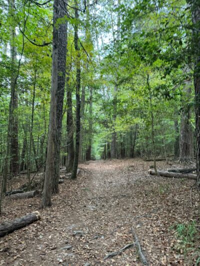 Raven Rock Loop Trailhead - Lillington, NC