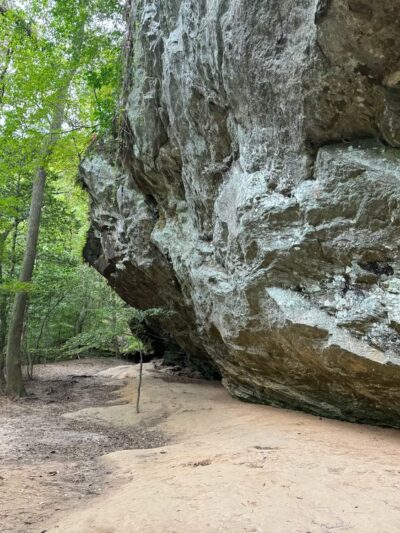 Raven Rock Loop Trailhead - Lillington, NC
