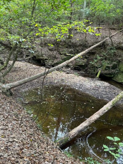 Raven Rock Loop Trailhead - Lillington, NC