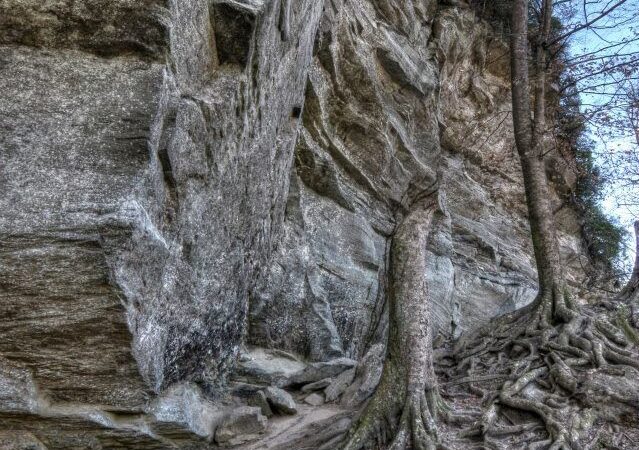 Raven Rock State Park - Lillington, NC
