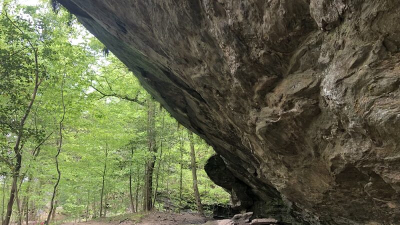 Raven Rock State Park - Lillington, NC