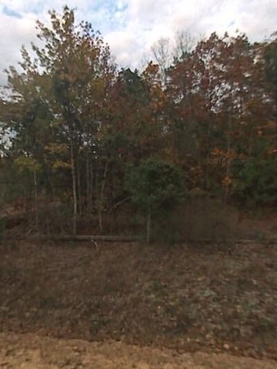 Raven Rock State Park Campground - Lillington, NC