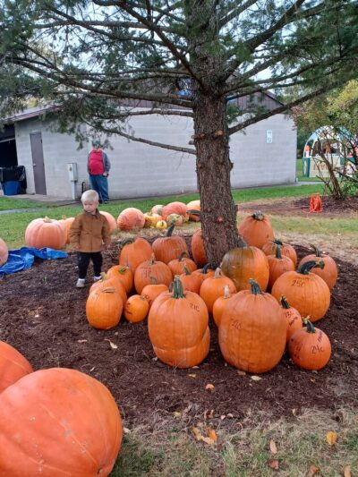 Mark Tubbs Memorial Park - Lima, NY