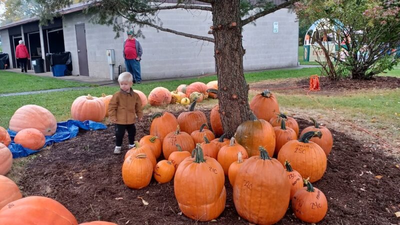 Mark Tubbs Memorial Park - Lima, NY