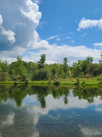 Mark Tubbs Memorial Park - Lima, NY