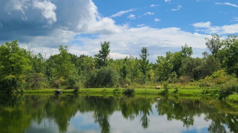 Mark Tubbs Memorial Park - Lima, NY