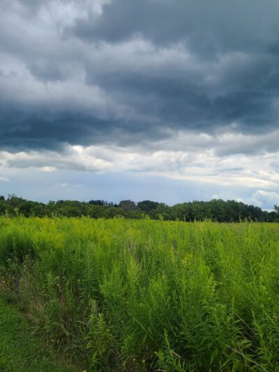 Mark Tubbs Memorial Park - Lima, NY