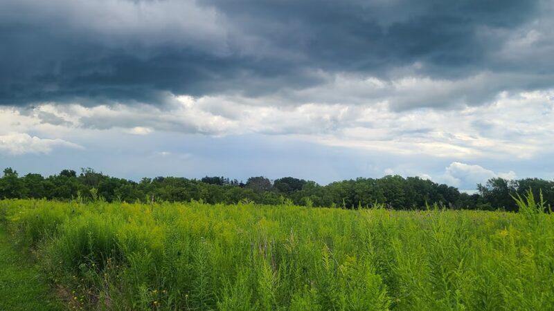 Mark Tubbs Memorial Park - Lima, NY