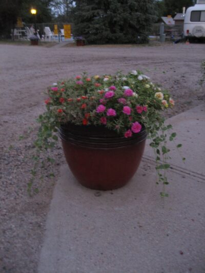 Limon KOA Journey - Limon, CO