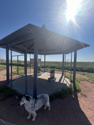 Limon Wetlands - Limon, CO
