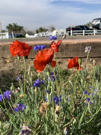 Trailing Edge Park - Limon, CO