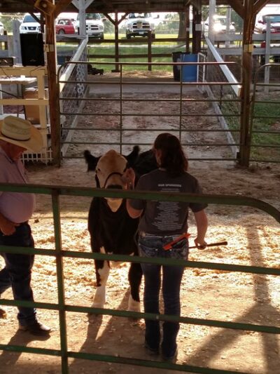 Lincoln City Park - Lincoln, MO