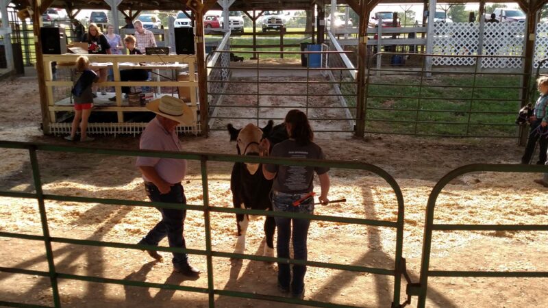 Lincoln City Park - Lincoln, MO