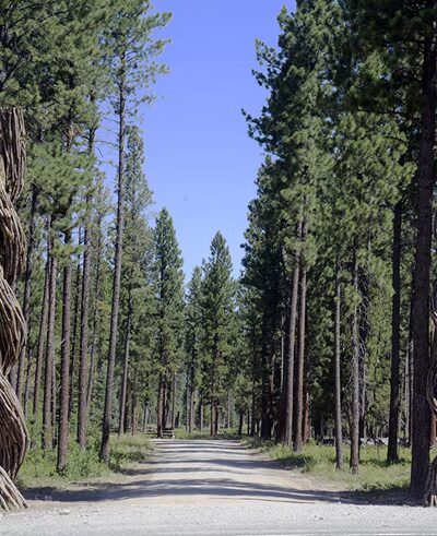 Blackfoot Pathways: Sculpture in the Wild - Lincoln, MT