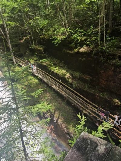 Avalanche Falls - Lincoln, NH
